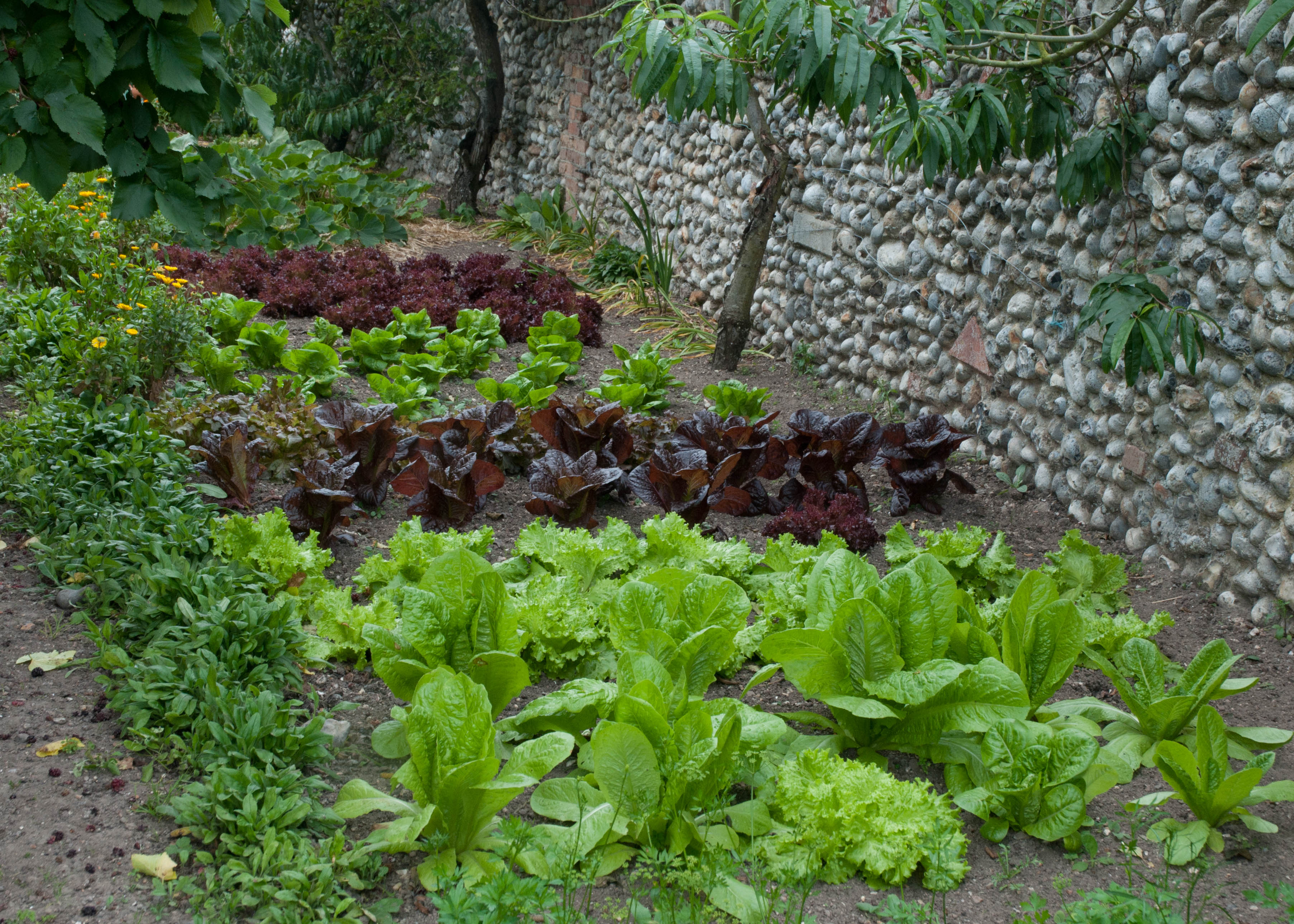 french potager garden