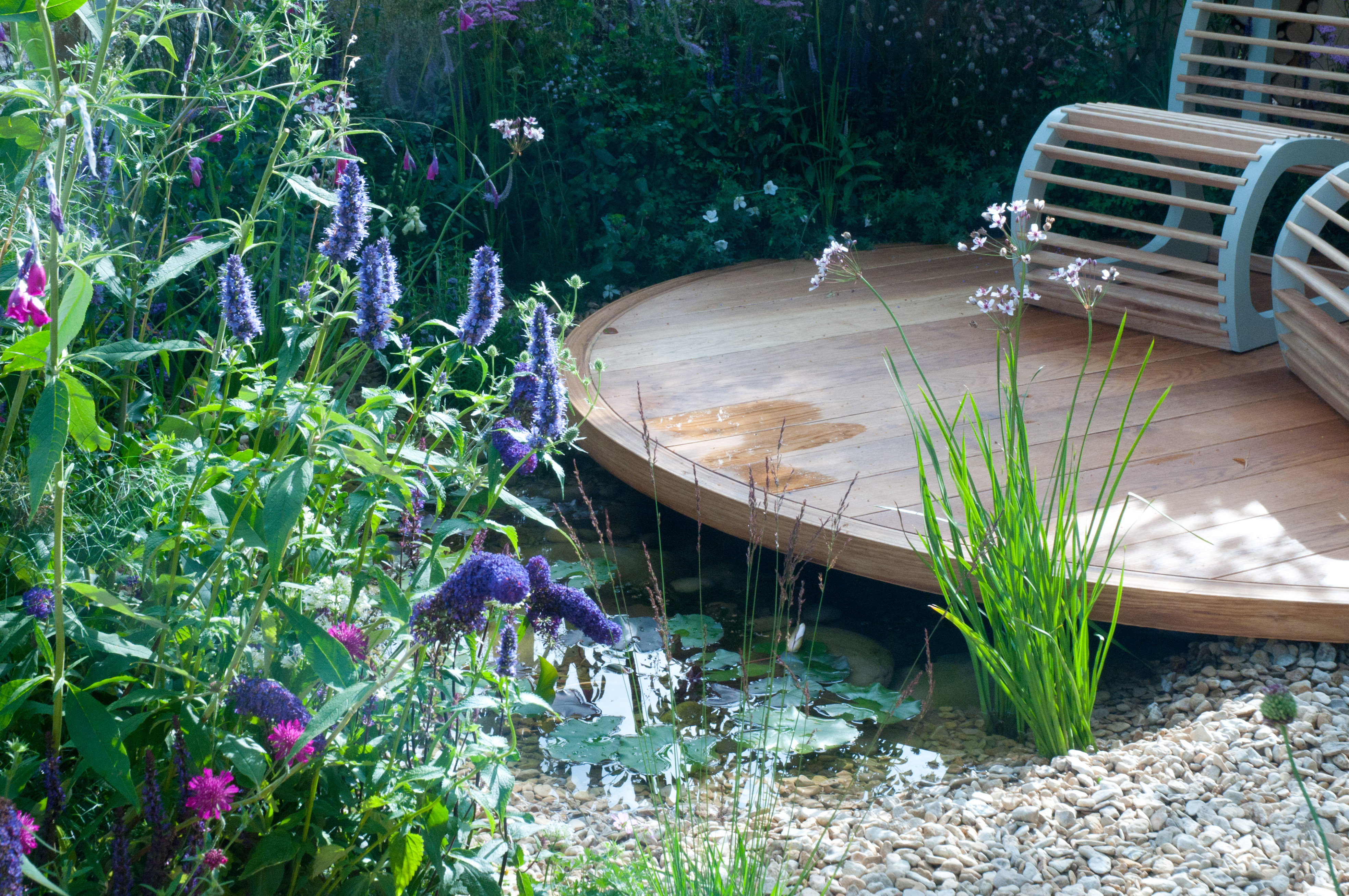  garden by charlottemurrell.co.uk with pond artfully sliced into design
