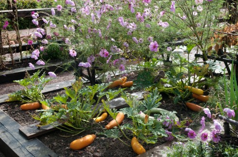 Veg and flowers at Prieure D'Orsan